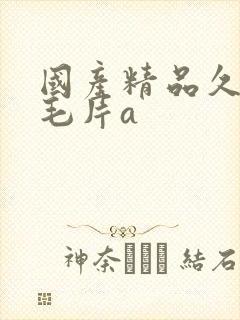 国产精品久久久毛片a