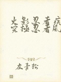 火影忍者疾风传究极忍者风暴4