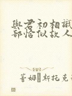 与君初相识第二部恰似故人归