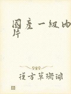 国产一级内射一片封面