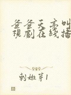 爸爸天亮叫我电视剧在线播放