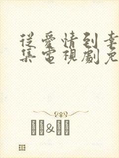 从爱情到幸福全集电视剧免费观看