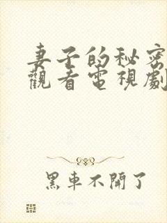 妻子的秘密免费观看电视剧完整版封面