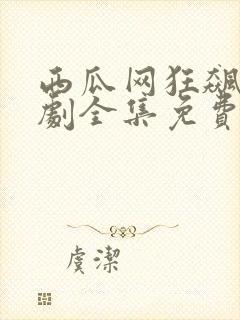 西瓜网狂飙电视剧全集免费播放