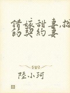 错嫁甜妻,总裁的契约妻封面