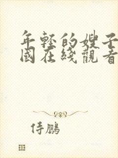 年轻的嫂子2韩国在线观看封面