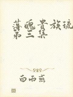 落魄贵族琉璃川第三集