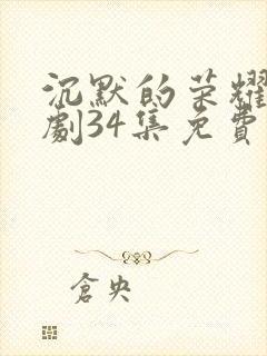 沉默的荣耀电视剧34集免费观看