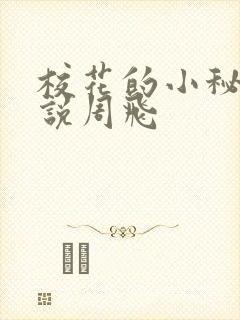 校花的小秘密小说周飞