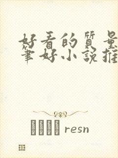 好看的质量高文笔好小说推荐