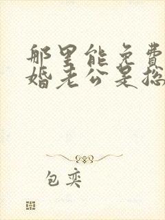 那里能免费看闪婚老公是总裁短剧封面