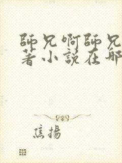 师兄啊师兄的原著小说在哪看封面