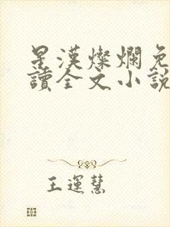 星汉灿烂免费阅读全文小说