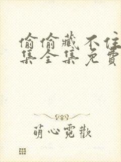 偷偷藏不住60集全集免费播放