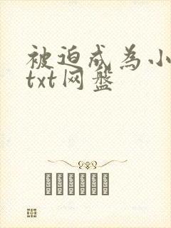 被迫成为小说家txt网盘