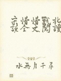 宋惜惜战北望小说全文阅读