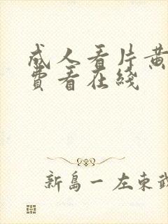 成人看片黄a免费看在线封面