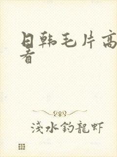 日韩毛片高清观看