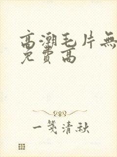 高潮毛片无遮挡免费高