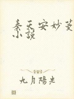 秦天安妙菱修仙小说