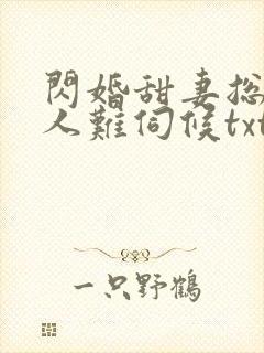 闪婚甜妻总裁大人难伺候txt封面