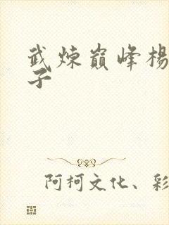 武炼巅峰杨开弟子封面