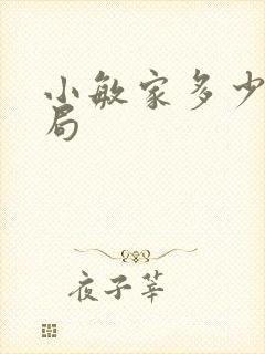 小敏家多少集结局