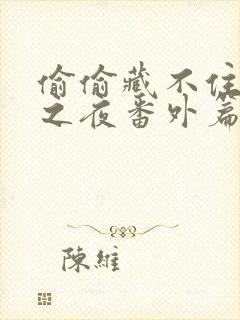 偷偷藏不住新婚之夜番外篇