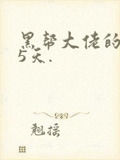 黑帮大佬的365天.封面