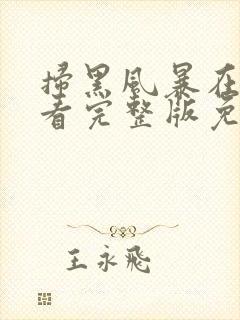 扫黑风暴在线观看完整版免费