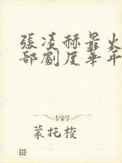 张凌赫最火的三部剧度华年封面