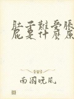 肚子难受胀气放屁是什么原因