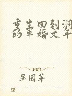 重生回到洞房夜的军婚文年代文