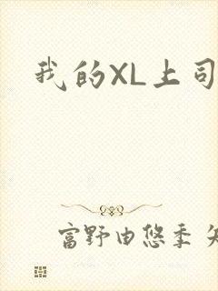 我的XL上司