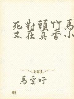 死对头竹马今天又在真香小说封面