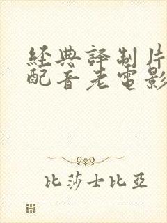 经典译制片国语配音老电影大全100部27封面