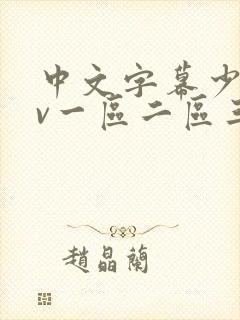 中文字幕少妇av一区二区三区