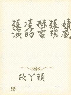 张凌赫张婧仪主演的电视剧