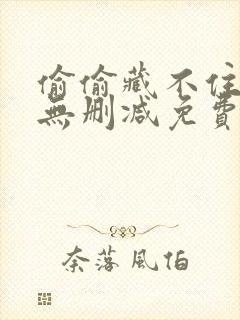 偷偷藏不住全文无删减免费阅读封面