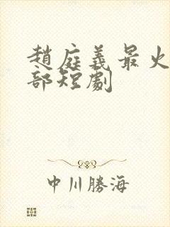 赵庭义最火的十部短剧