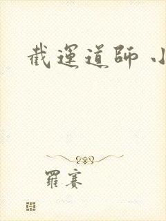 截运道师 小说封面