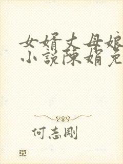 女婿丈母娘言情小说陈娟免费阅读