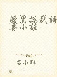 腹黑总裁诱宠小妻小说