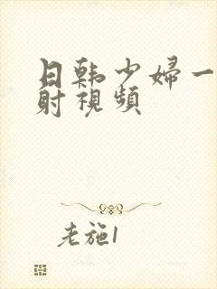 日韩少妇一人内射视频