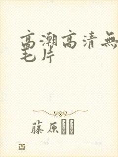 高潮高清无遮挡毛片