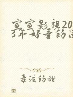 宣宣影视2023年好看的国产电视剧