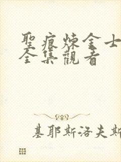 圣痕炼金士动漫全集观看