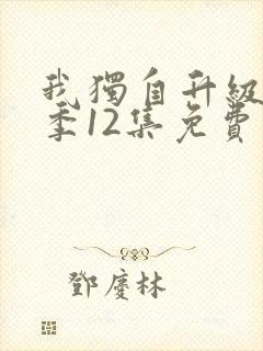 我独自升级第二季12集免费观看