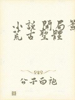 小说 开局签到荒古圣体