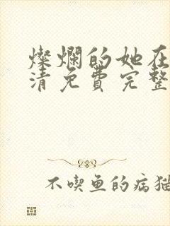 灿烂的她在线高清免费完整观看电影